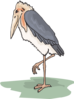 Marabou Stork Clip Art